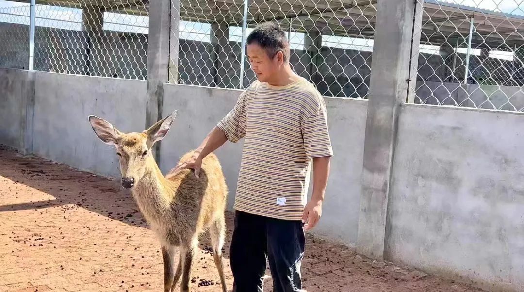 九洲国际网站